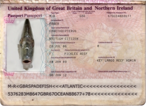 Fish Passports